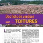 Brochure "Des îlots de verdure sur les toitures"