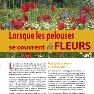 Brochure "Lorsque les pelouses se couvrent de fleurs"