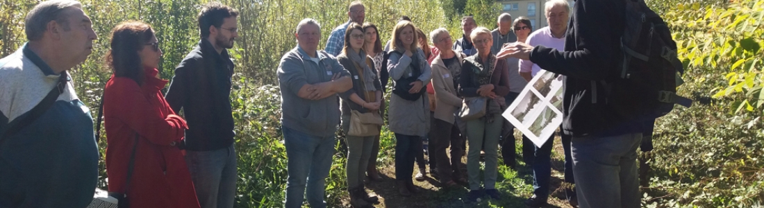 TVBuONAIR : Retour sur la journée d’échanges transfrontaliers et de visites sur les plantes exotiques envahissantes TVBuONAIR : Retour sur la journée d’échanges transfrontaliers et de visites sur les plantes exotiques envahissantes